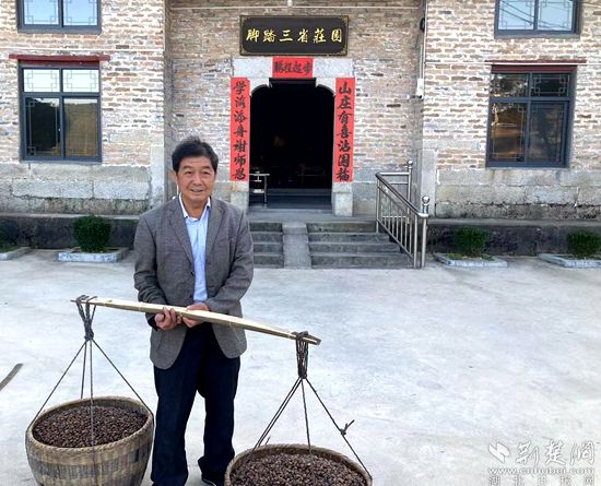 何道關(guān)與自己種的油茶果。黃錚 攝_副本.jpg.jpg