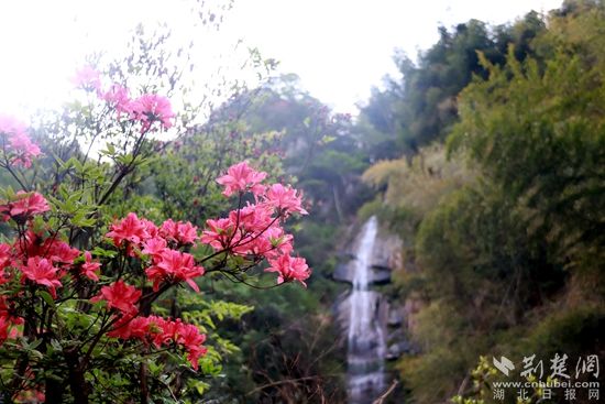 黃龍山頂，風景如畫 黃錚 攝_副本.jpg.jpg