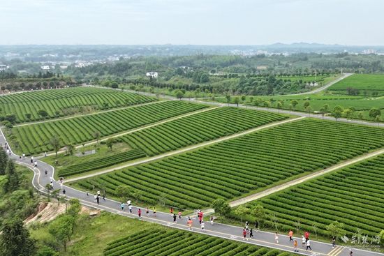 微信圖片_20250518005723.jpg.jpg