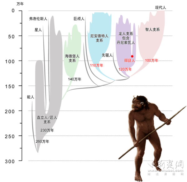 779fad6171dc2bcd148d2e08e26154bb_600X583_20250927170333